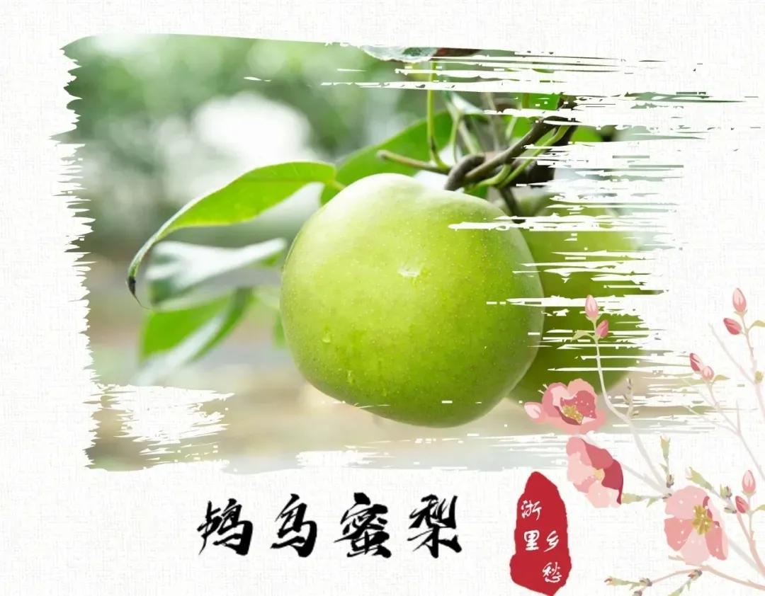 浙江特色农业_浙江特色农产品_浙江特色农产品有什么