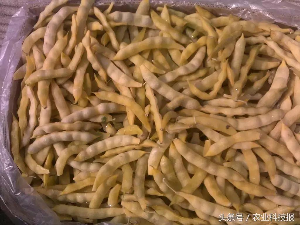 黑龙江农物流产品有哪些_黑龙江农产品流通产业发展中心_黑龙江农产品物流