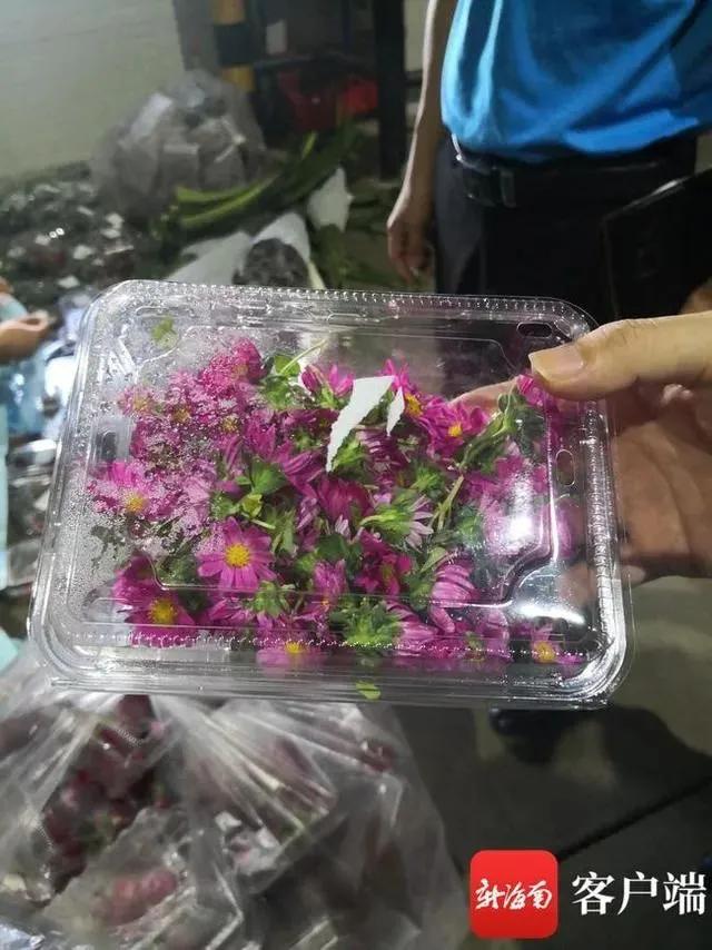 海南农产品冷链物流_海南农物流冷链产品经理招聘_海南农物流冷链产品销售