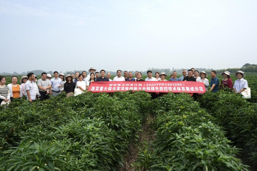 绿色农药与农产品质量安全_农药农绿色质量安全产品有哪些_农药农绿色质量安全产品包括