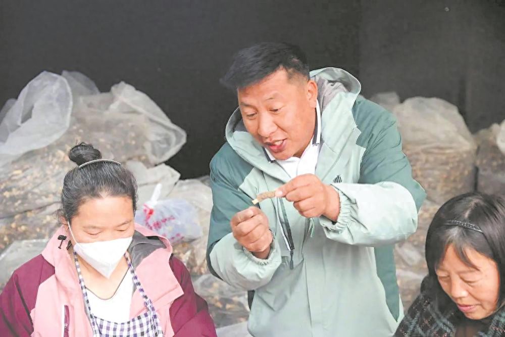 成都商贸强镇探索之路：羊肚菌交易市场与蔬式生活的繁荣发展
