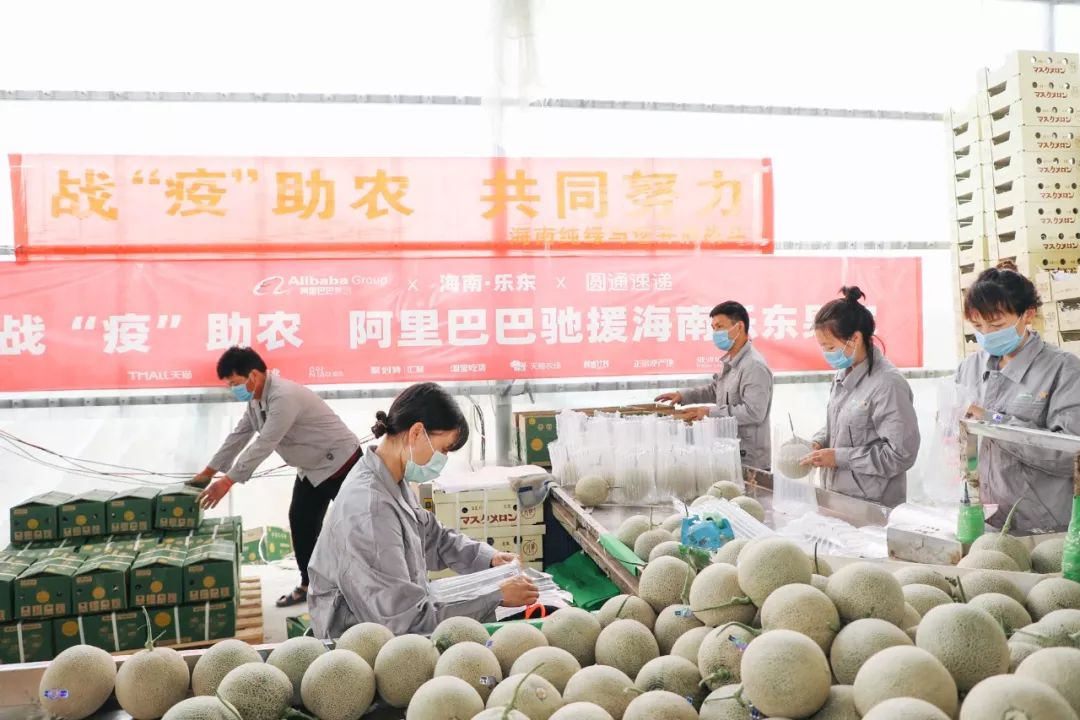 农产品绿色通道手续_农业绿色通道_农产品绿色通道通行证怎么办理