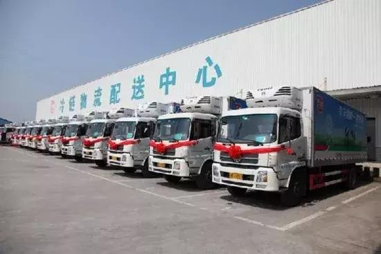 农产品冷链物流体系_农产品冷链物流模式_农产品物流冷链物流