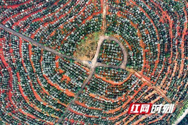 湖南文化扶贫行动：筑牢文化文明之基，引领脱贫发展新篇章