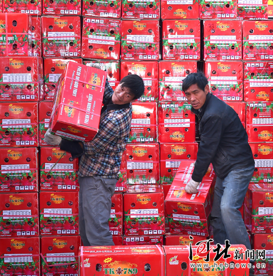 新发地武威农产品批发市场_武威市农贸市场_武威农副产品批发市场