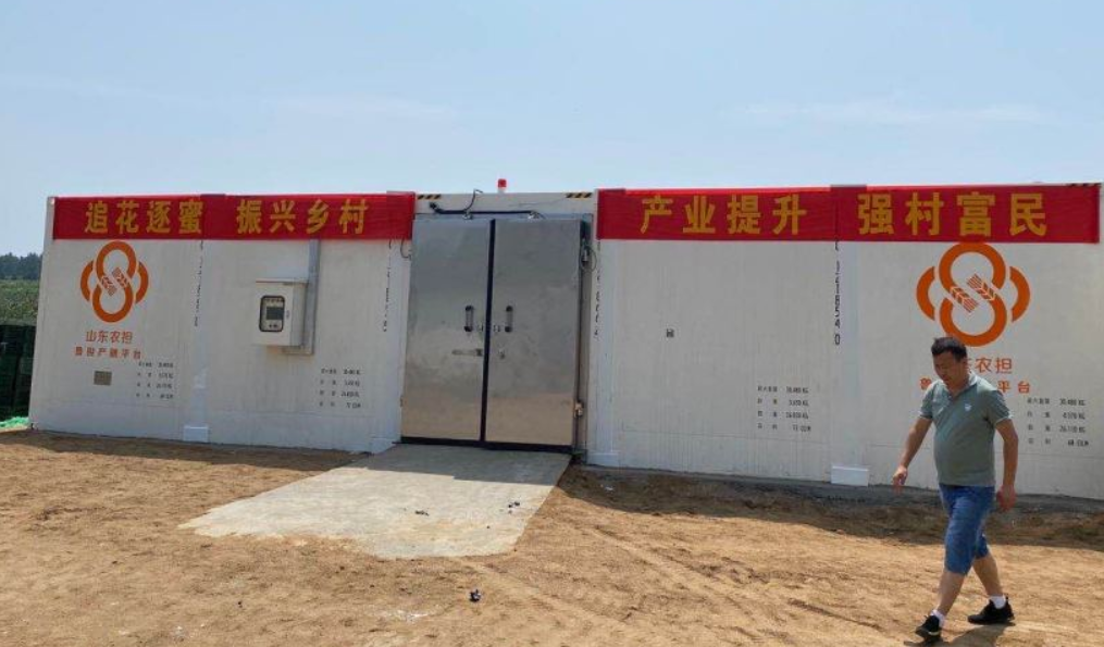 现状农物流冷链产品是什么_现状农物流冷链产品有哪些_农产品冷链物流现状