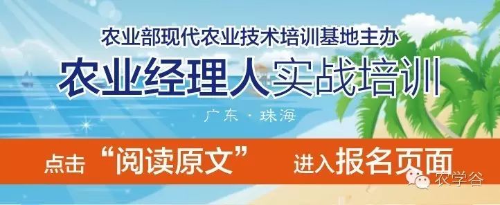 农产品礼品盒包装定制_礼品包装盒农产品_农产品礼盒里面怎么装