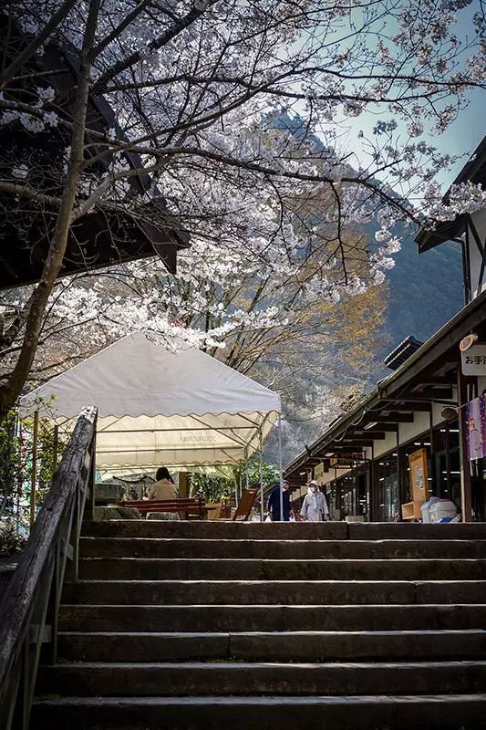 农产品直销店规划书_直销计划书_农产品直营店案例