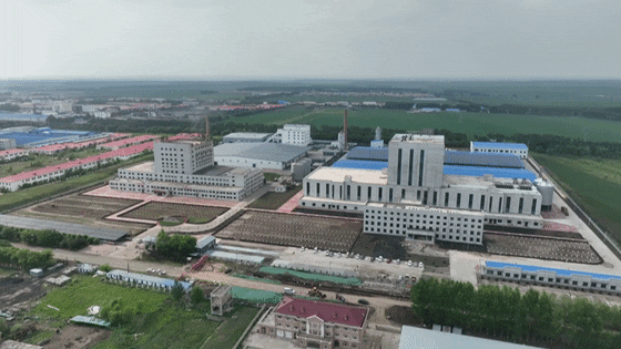 阜阳加工厂_阜阳外加工_阜阳农产品精深加工