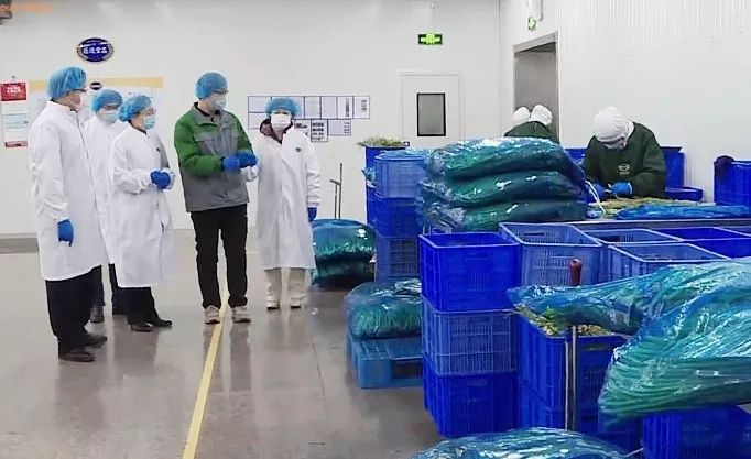 潍坊农产品出口_潍坊农产品_潍坊农产品博览会