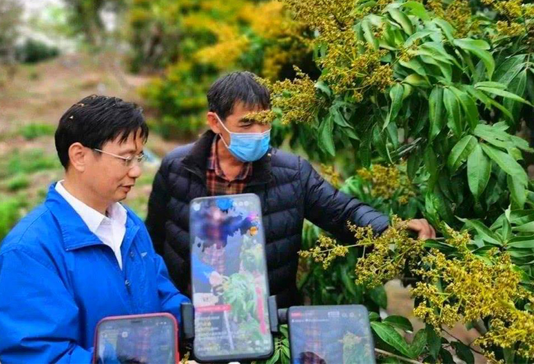 初级农副产品免税范围_初级农产品税收优惠_初级农产品是否免税