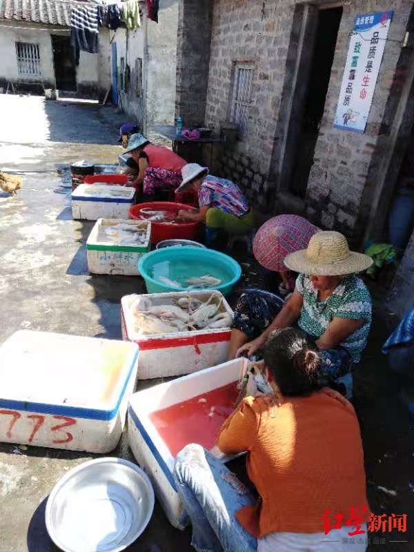 淘宝卖农产品要什么证_淘宝卖农产品需要生产许可证么_淘宝上卖农产品需要办证吗