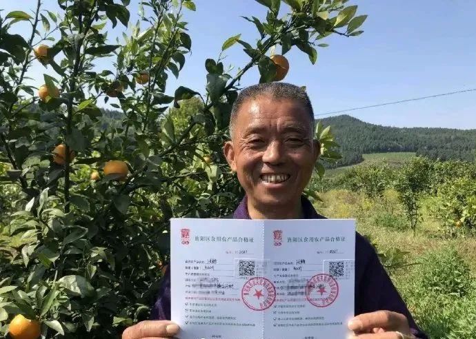 新型农产品批发市场_新型农产品交易模式_新型农产品