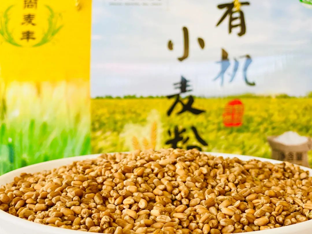 扶贫农副产品有哪些_带扶贫类的农产品_扶贫农产品电商平台有哪些