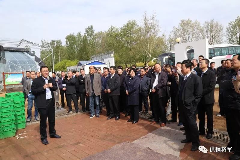 山东省供销社农业服务公司_山东省供销社农产品有限公司_山东省供销社农资公司