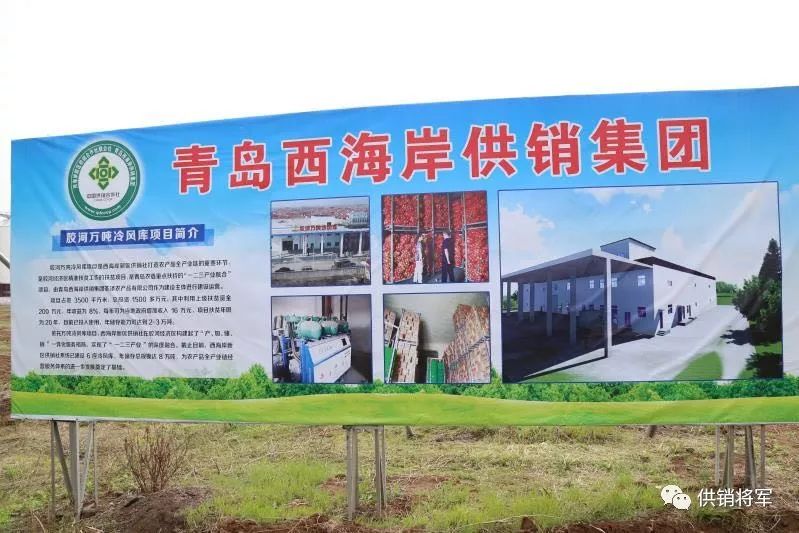山东省供销社农产品有限公司_山东省供销社农业服务公司_山东省供销社农资公司