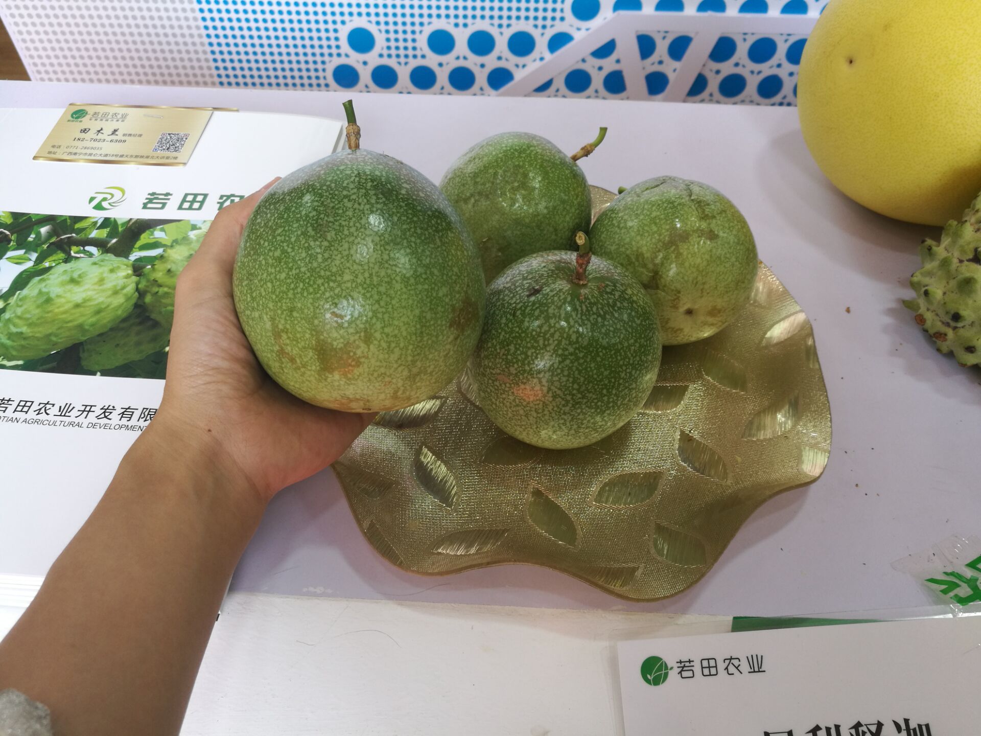 南宁农产品交易中心营业时间_南宁农产品交易市场_南宁市农产品交易中心地址