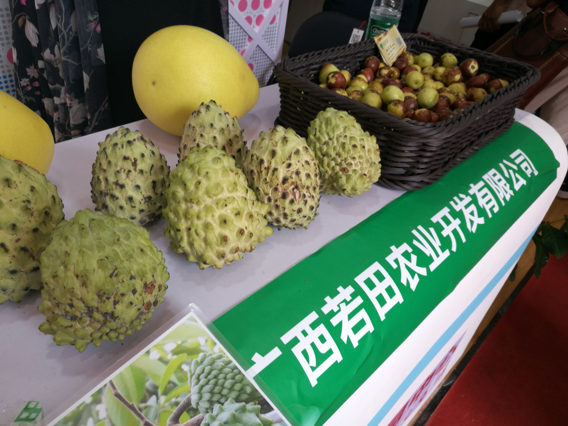 南宁市农产品交易中心地址_南宁农产品交易中心营业时间_南宁农产品交易市场