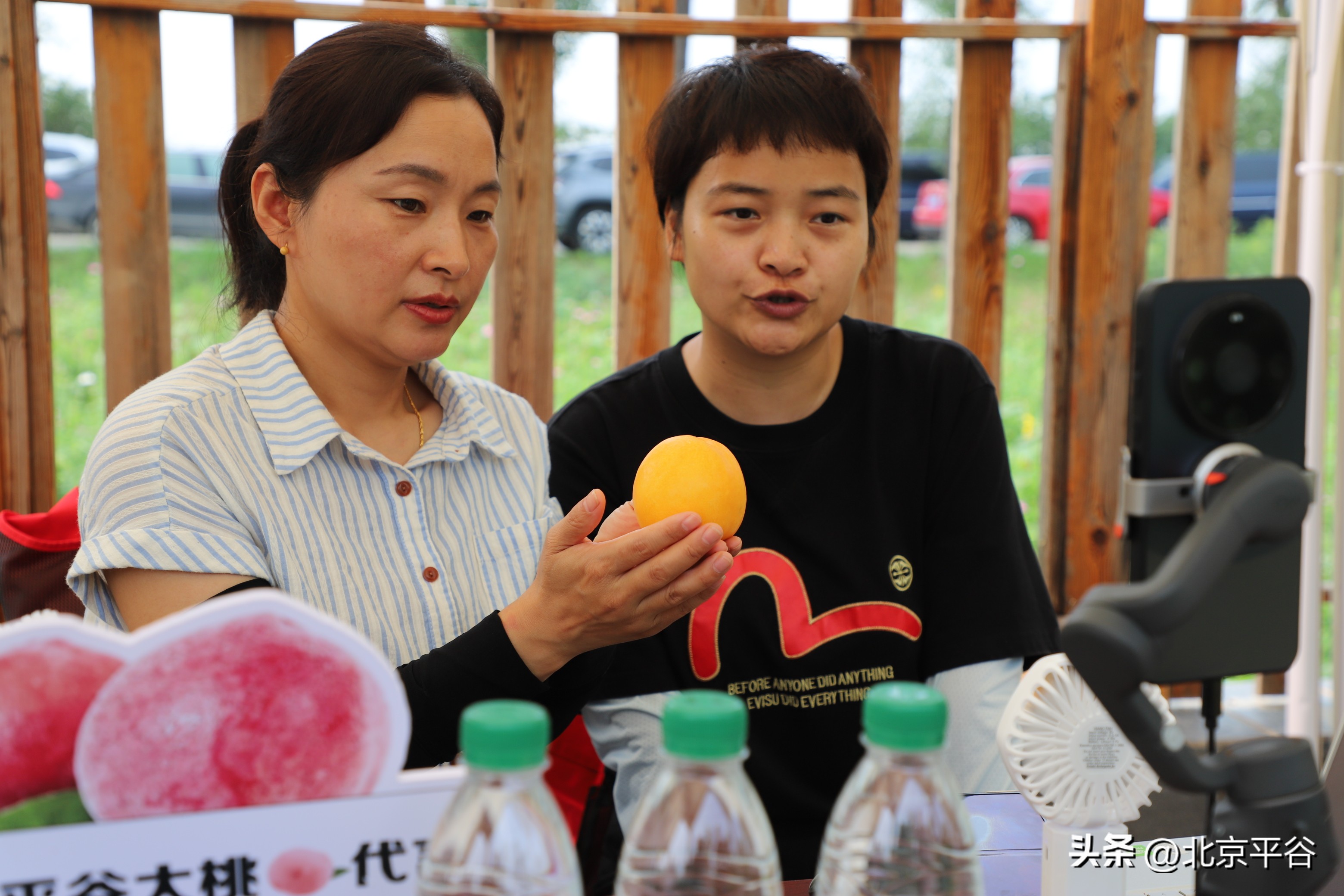 在邮乐网卖农产品_农卖网是做什么的_农卖网app免费下载