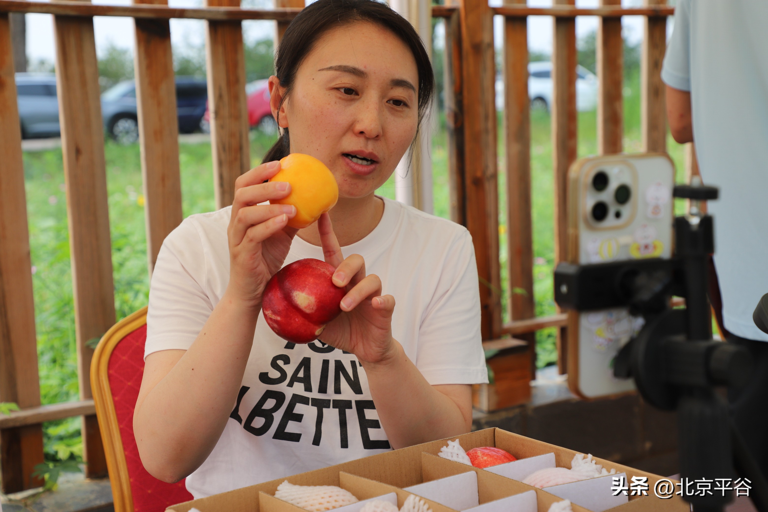 农卖网app免费下载_在邮乐网卖农产品_农卖网是做什么的