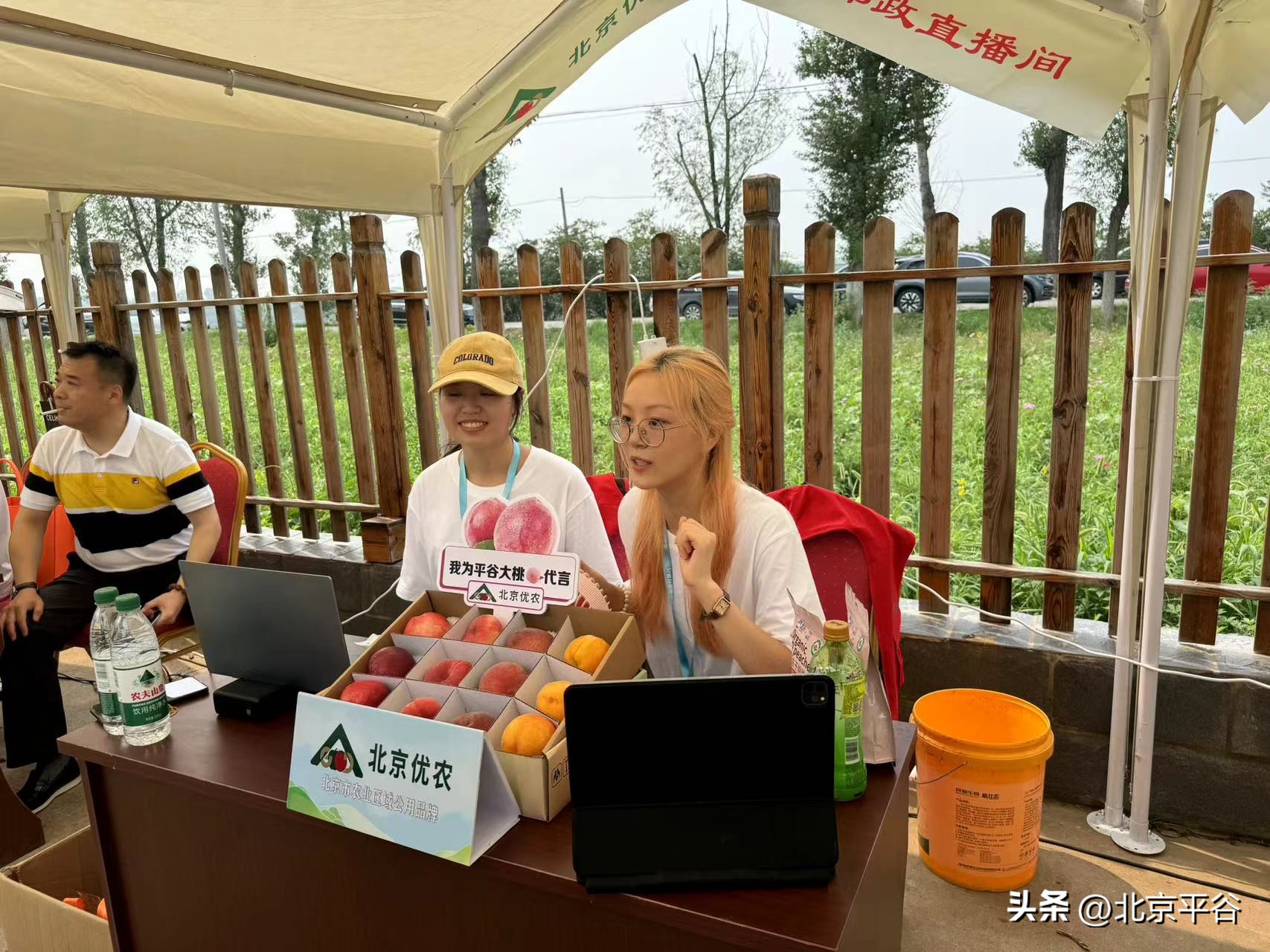 农卖网app免费下载_农卖网是做什么的_在邮乐网卖农产品