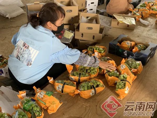 云南农副产品供求网_云南关于农产品政策_云南农产品需求