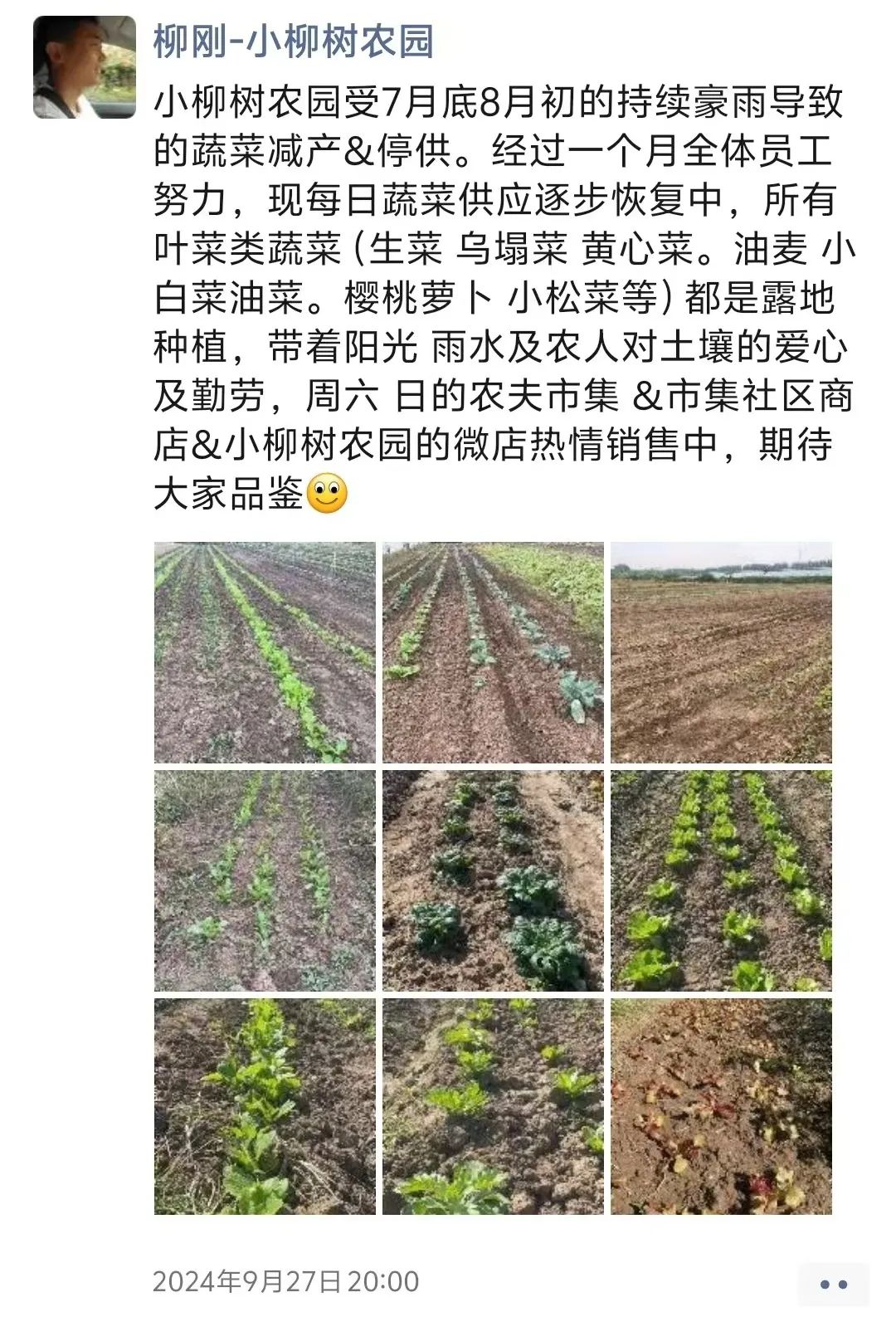 云南农产品芋头赚钱吗_云南芋头价格最新行情_云南芋头价格