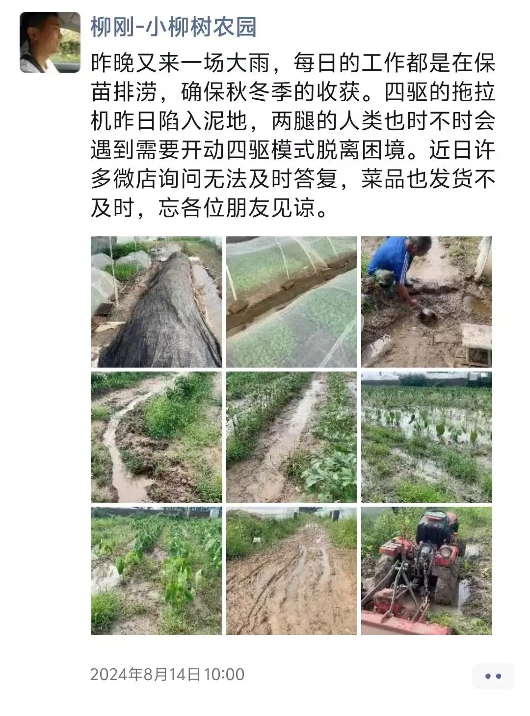 云南芋头价格_云南芋头价格最新行情_云南农产品芋头赚钱吗