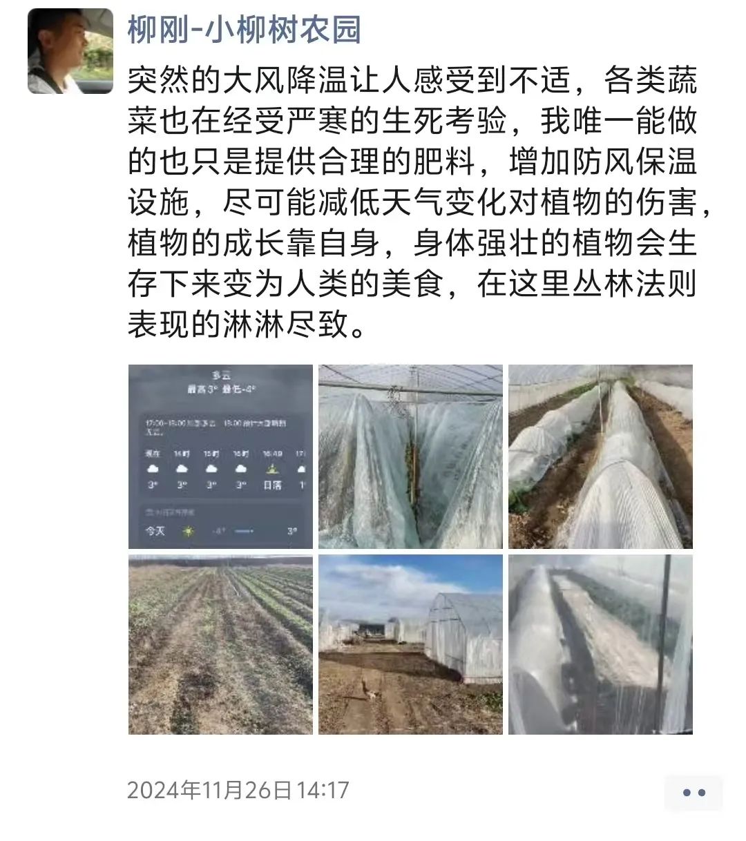云南芋头价格_云南芋头价格最新行情_云南农产品芋头赚钱吗