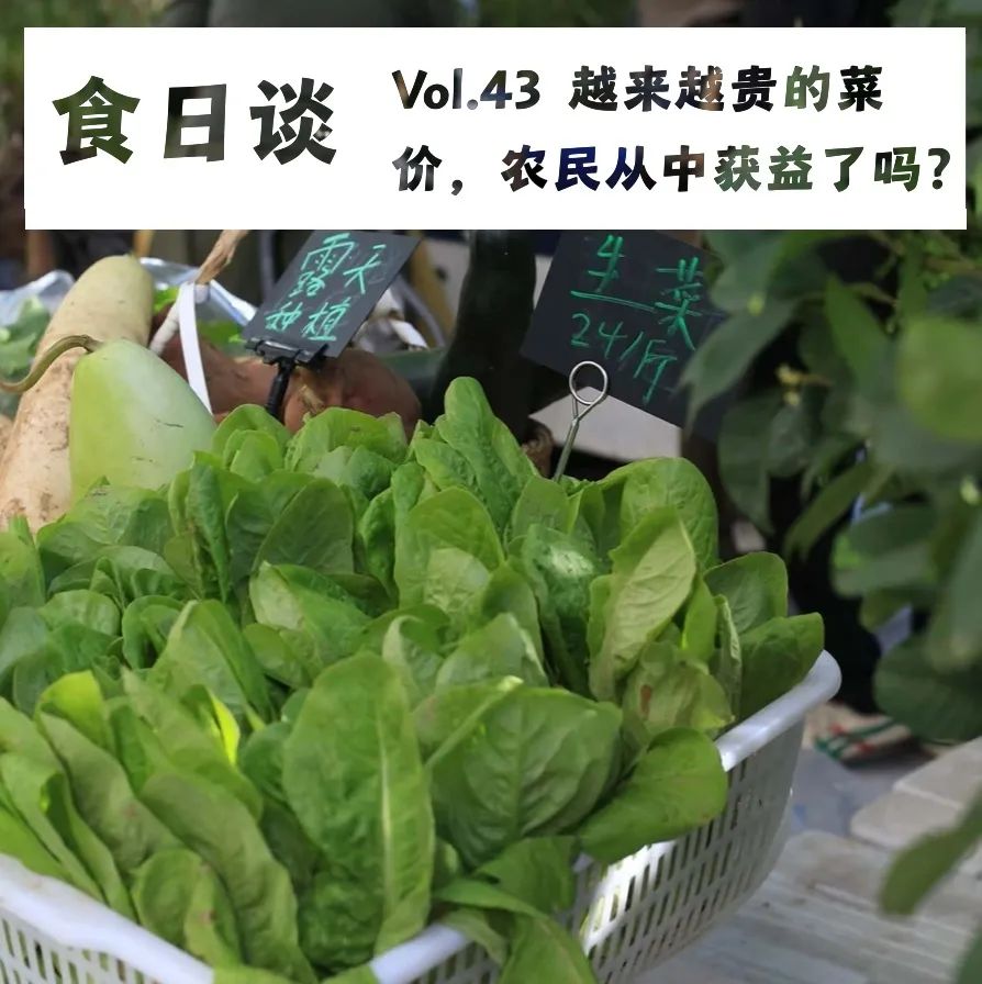 云南芋头价格最新行情_云南农产品芋头赚钱吗_云南芋头价格