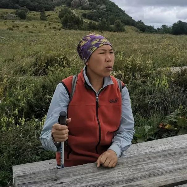 云南芋头价格_云南芋头价格最新行情_云南农产品芋头赚钱吗