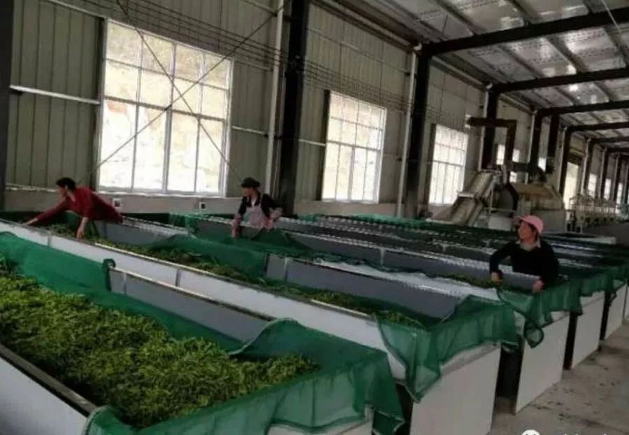 特色农产品指什么_特色农产品的意义_印江的特色农产品