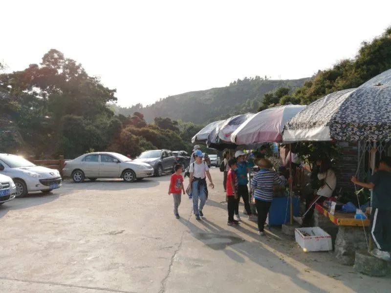 直销软件直销系统_农产品直销模式_农产品直销用什么软件