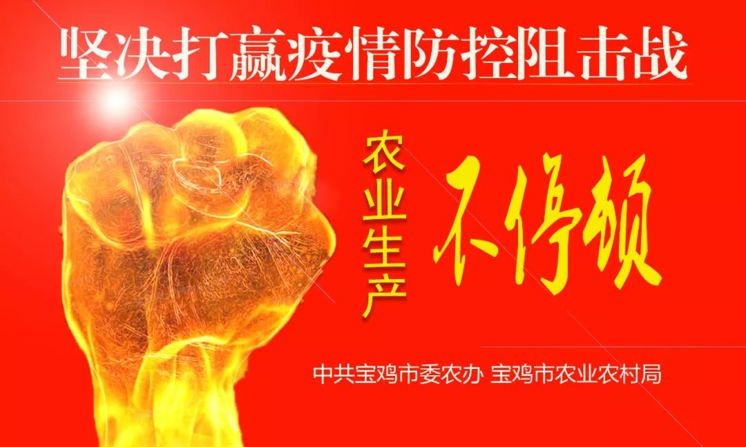 宝鸡农产品企业_农宝机电有限公司_宝鸡农产品电商平台