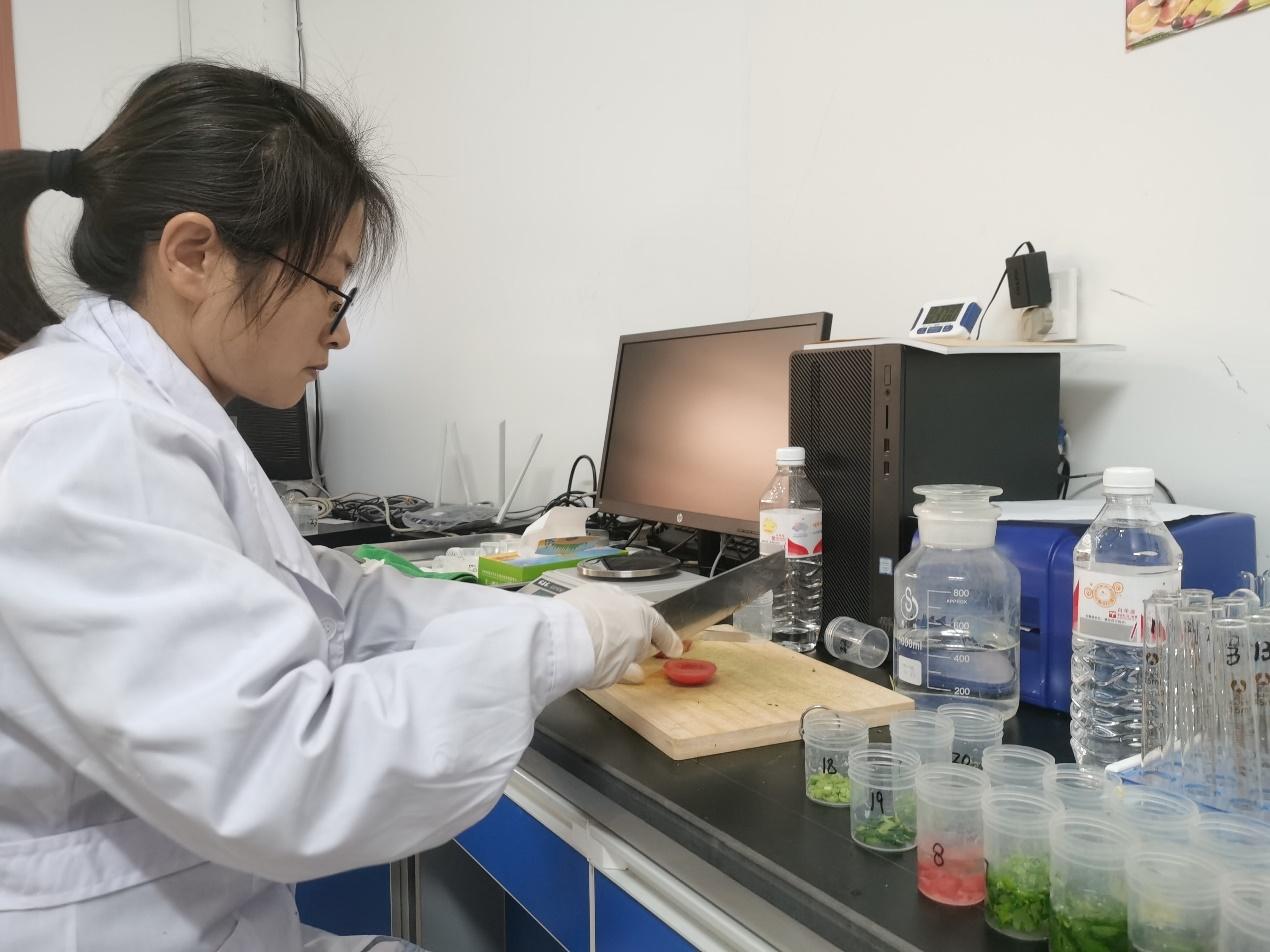 农产品检测方案怎么写_农产品检测项目_农产品检测方案
