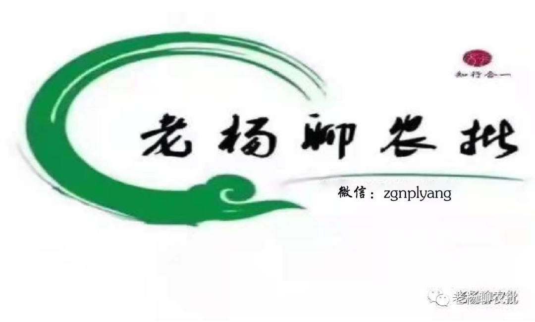 中国农产品批发市场销售困境解析：疫情、房产市场与营销策略的影响