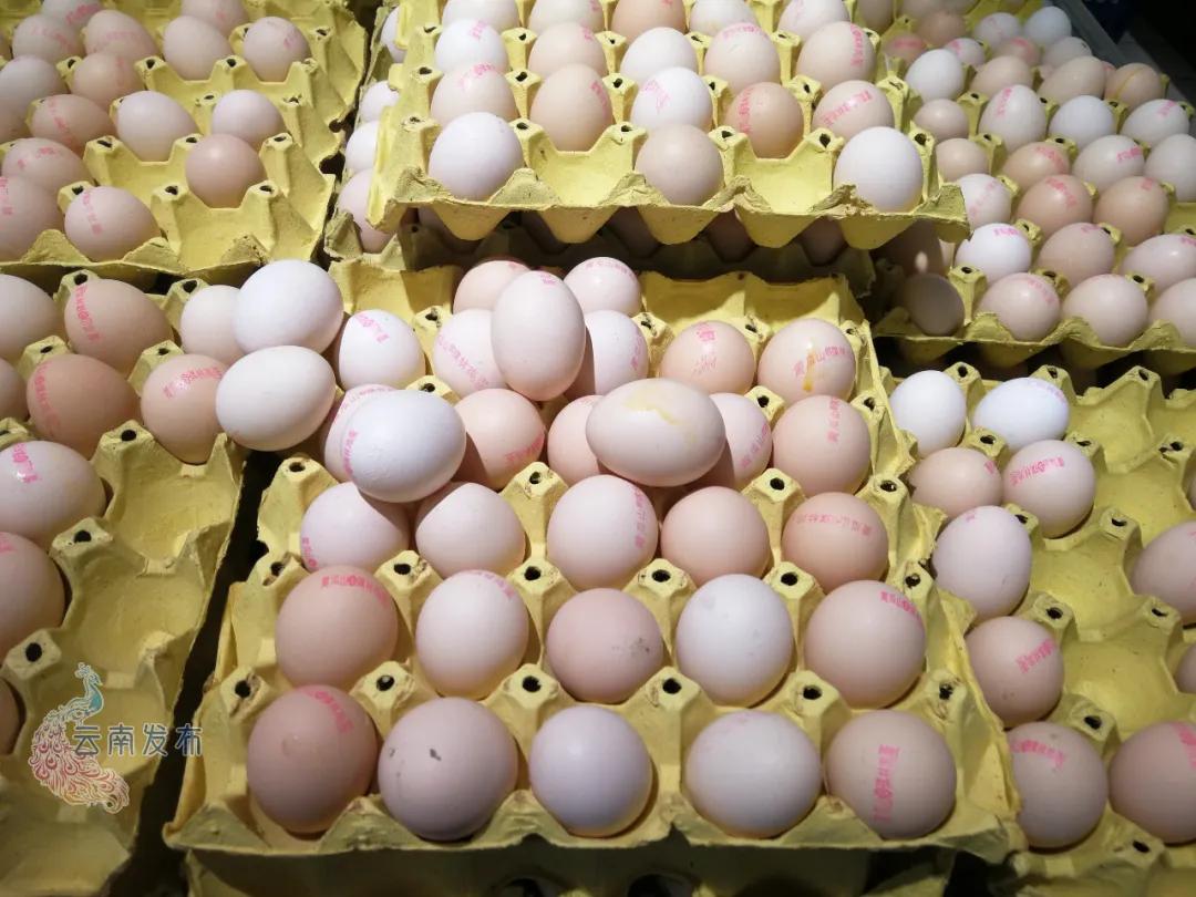 食用农产品制度牌样式_食用农产品制度牌样式_食用农产品制度牌样式