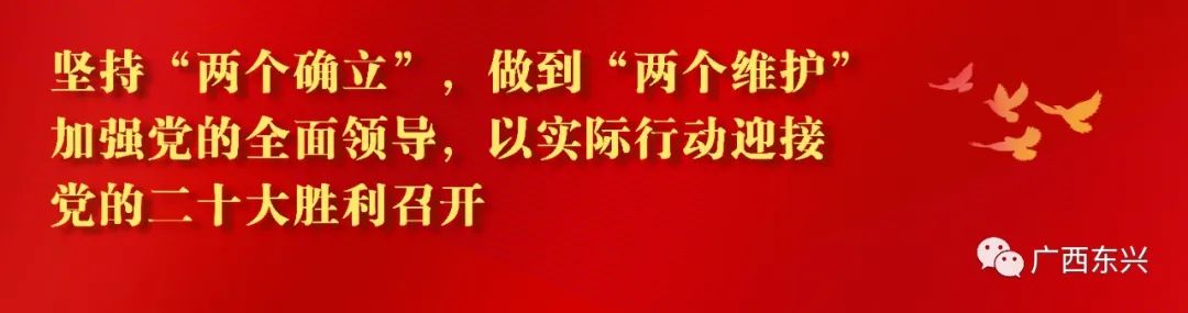 金桥农庄怎么样_金桥农资公司怎么样_金桥农产品