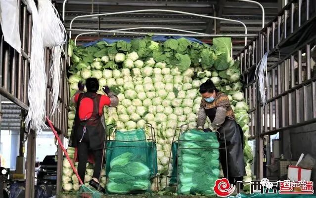金桥农资公司怎么样_金桥农产品_金桥农庄怎么样