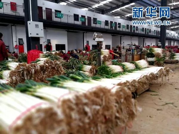 宏昊农产品交易中心_中山宏昊电器有限公司_宏鸿农产品