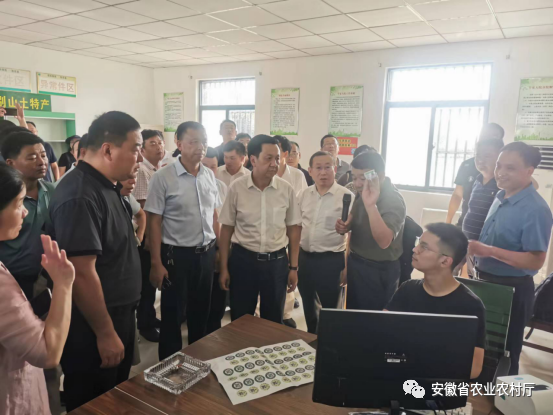 农产品质量安全监管工作总结_农产品质量安全监管工作总结_农产品质量安全监管的工作总结