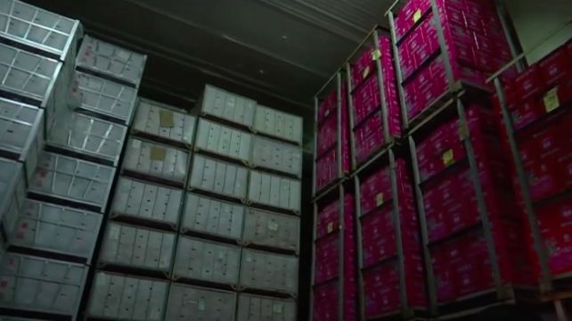 大宗农产品现货交易合法吗_炒作大宗农产品_炒作大宗农产品违法吗
