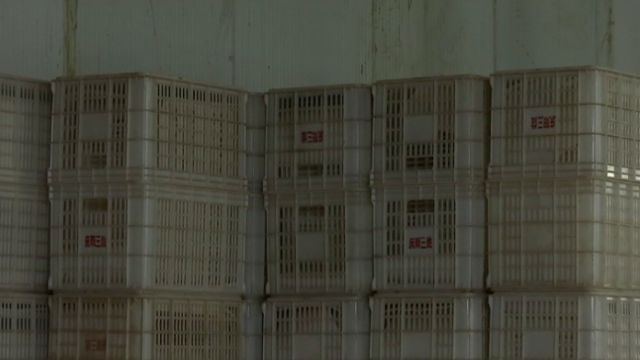 大宗农产品现货交易合法吗_炒作大宗农产品违法吗_炒作大宗农产品