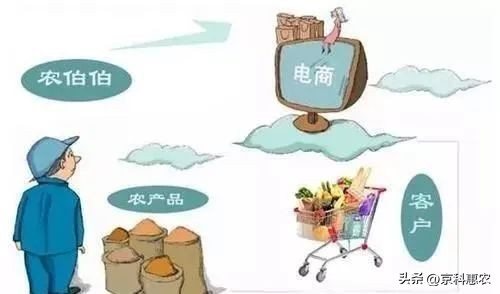 农产品电子商务营销模式_商务农营销电子模式产品包括_农村电子商务商业模式