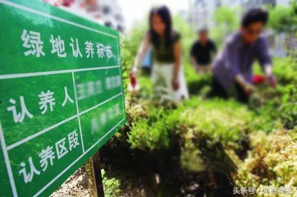 农产品网络营销的概念_农产品网络营销的定义_农产品网络营销名词解释