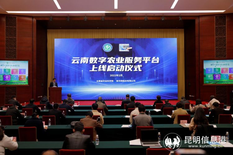 云南农产品交易平台_云南农交所_云南农产品交易中心有限公司