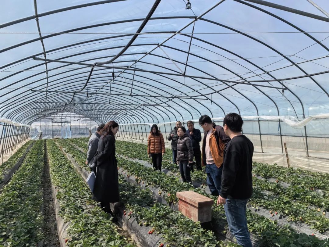 农产品专业合作社章程_农业专业合作社章程范本_农业合作社章程怎么写