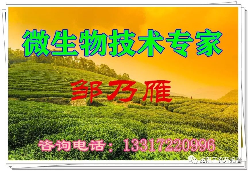 农贸市场干货品种大全_农副产品干货批发市场_农产品干货批发市场