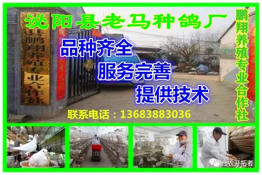 农产品干货批发市场_农贸市场干货品种大全_农副产品干货批发市场