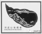 如何建立和保护地理标志品牌？国家知识产权局助力乡村振兴行动解析